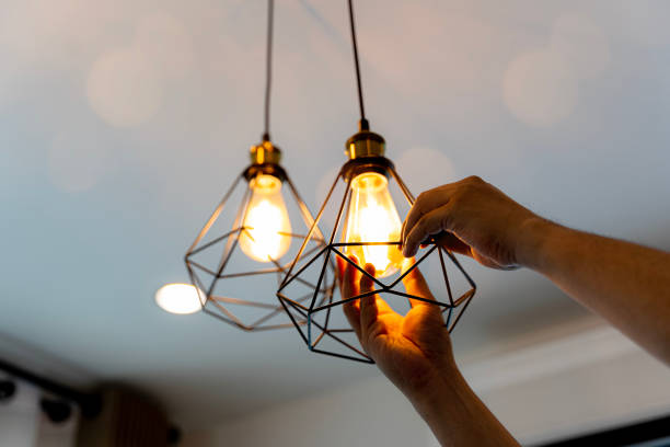 Best Local Electrician Companies  in Panacea, FL